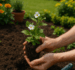 Gartenpflege in Bremen und Umgebung