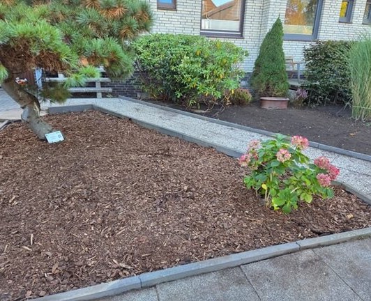 Gepflegter Vorgarten mit frischem Rindenmulch in Bremen